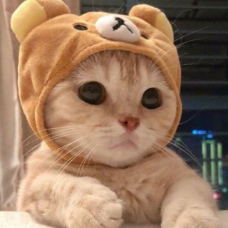 Telegram: view @by520a